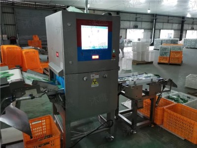 鋁箔袋調料包X光異物檢測儀